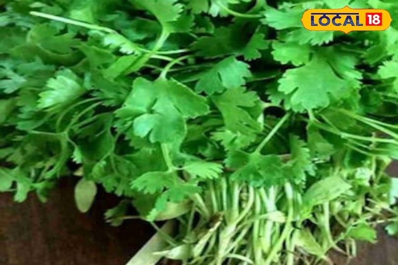 Moradabad news, hindi news, local news, up news, मुरादाबाद समाचार, हिंदी समाचार, लोकल समाचार, यूपी समाचार ।