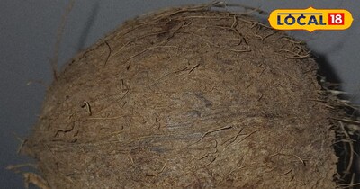 गर्मी में चेहरा पड़ गया है बेजान? नारियल का ये देसी फेस पैक देगा पार्लर जैसा जबर