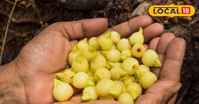 महुआ का फूल.