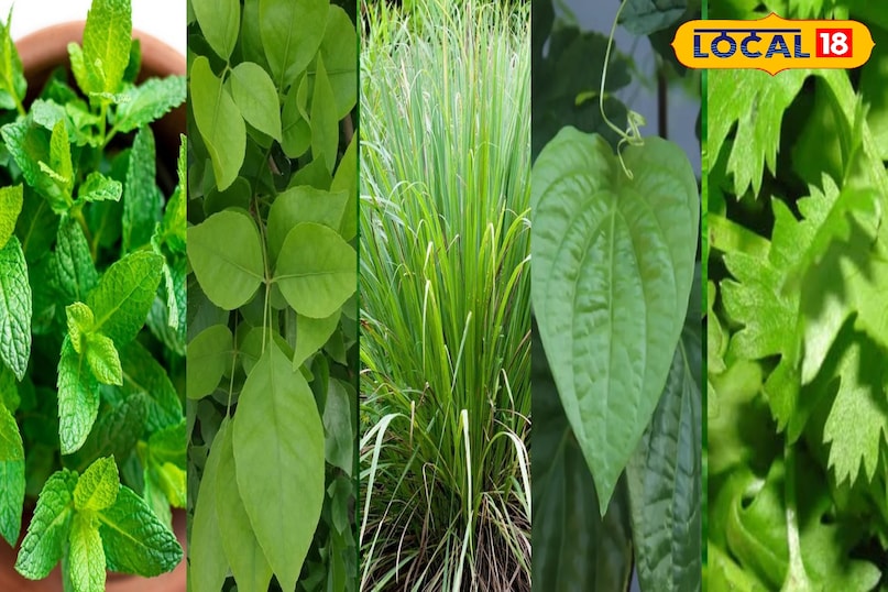 हेल्थ एंड स्किन टिप्स 