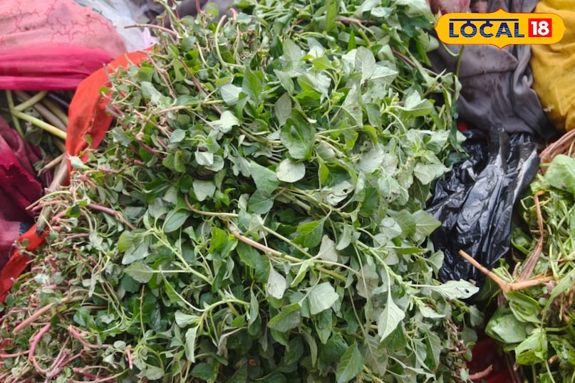 चौलाई का उपयोग और सावधानी 