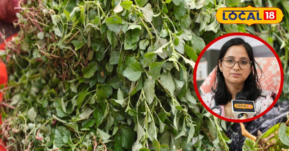 पोषण का पावरहाउस है ये साग, सेवन से मिलेंगे कई लाभ, पाचन से लेकर इम्यूनिटी तक सब रहेगा ठीक
