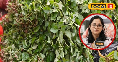 चौलाई: हाडे, पचन आणि रोगप्रतिकारशक्तीसाठी सुपरफूड