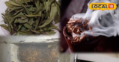 मधुमखियों का छत्ता