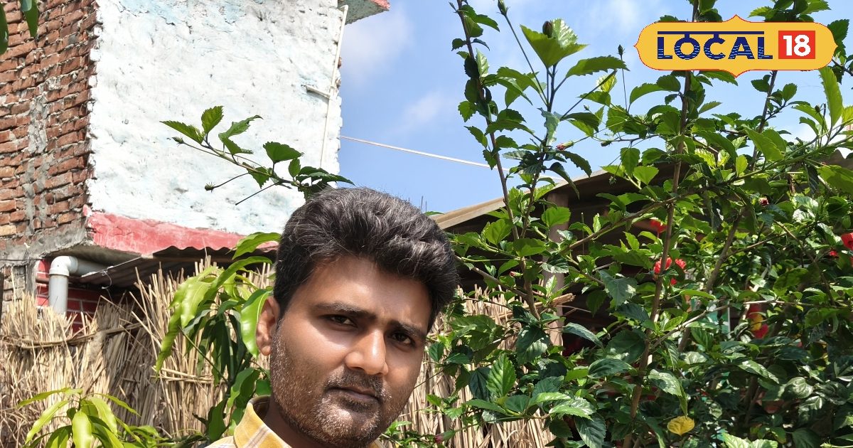 सेहत के लिए खजाना है मां दुर्गा का प्रिय गुड़हल का फूल, एंटीऑक्सीडेंट, विटामिन से भरपूर, इ