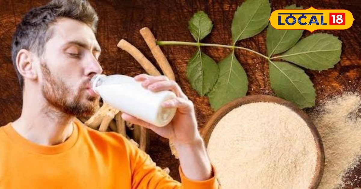 पुरुषों की ताकत और सेहत के लिए संजीवनी! बस दूध में मिलाकर पी ले ये चीज