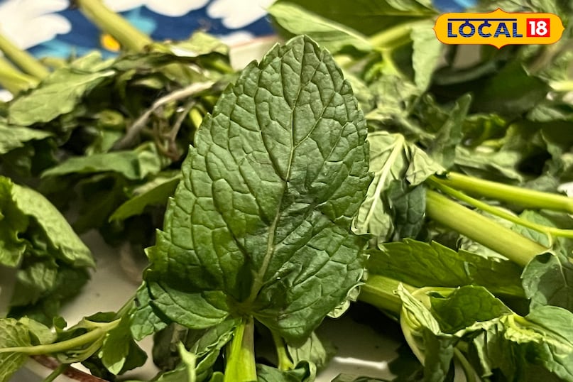 pudina benefits pudina benefits