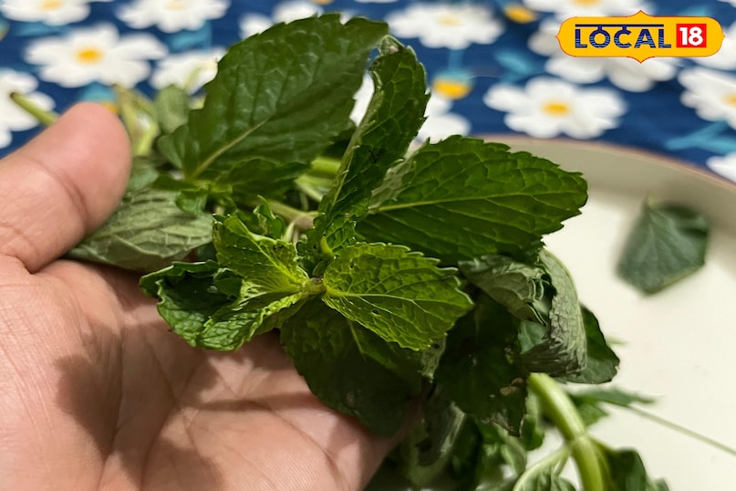 pudina benefits pudina benefits