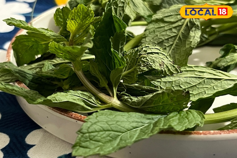 pudina benefits pudina benefits