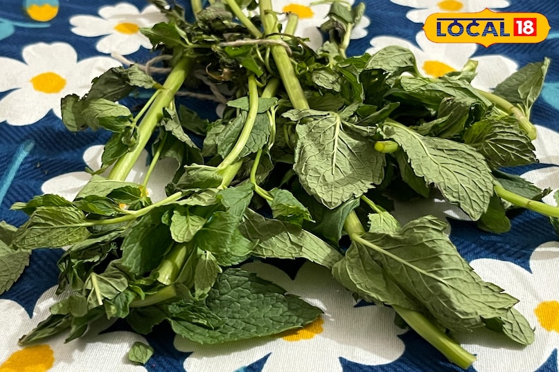 pudina benefits pudina benefits