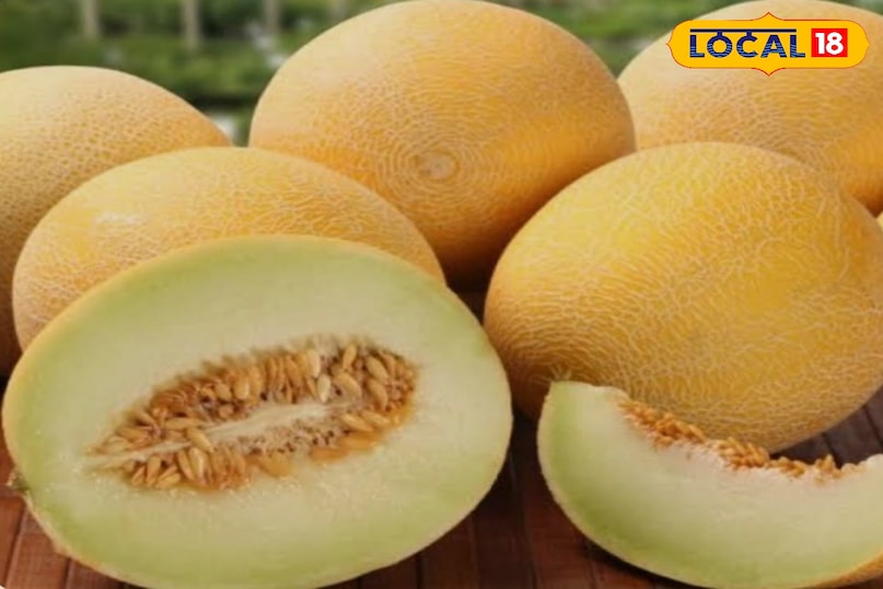 खरबूजे का फल खरबूजे का फल