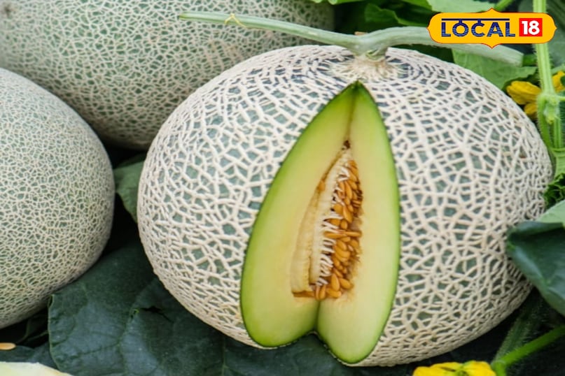 खरबूजे का फल खरबूजे का फल