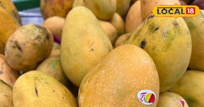 आम सिर्फ फल नहीं, आपकी नेचुरल ब्यूटी का सीक्रेट है