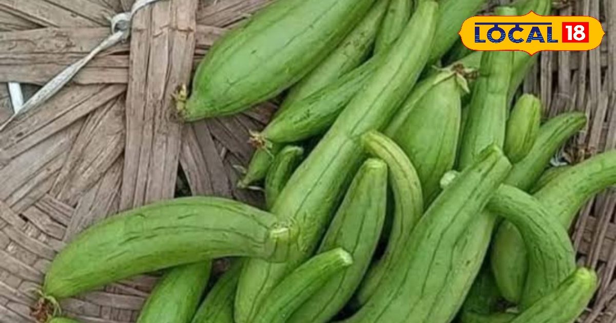 जिम-डाइट छोड़िए, क्या आपने ट्राई की ये देसी सब्जी? वजन होगा कंट्रोल!