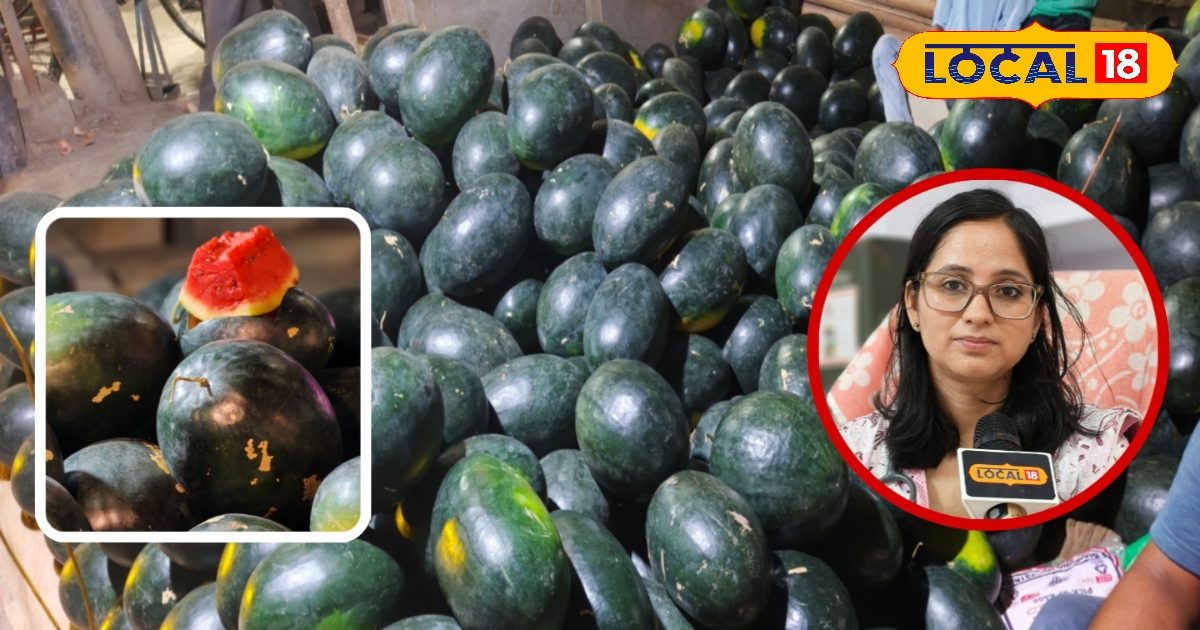 जिम करने वालों के लिए तरबूज का 1 टुकड़ा काफी, सुबह खाएं या रात में? जानिए