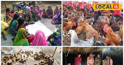 मुर्गीपालन