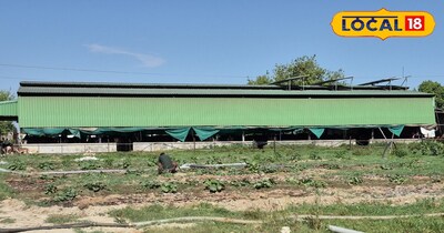 जैविक खाद 