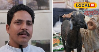 संदीप कुमार बकरी पालन की जानकारी देते हुए
