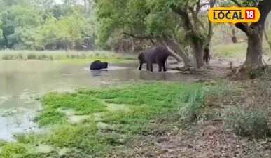 फाइल फोटो.