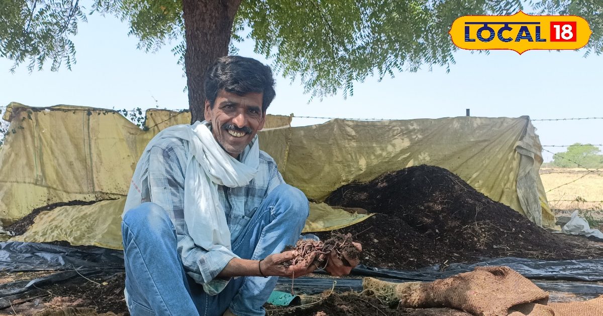 YouTube से सीखी कला, अब घर पर बना रहे केंचुआ खाद!50-60 दिन में मुनाफे की गारंटी