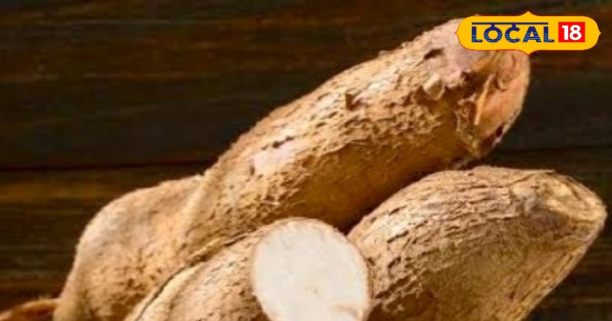 गर्मी में कुडजू स्टार्च का करें सेवन, पसीना, थकान और गर्मी से मिलेगी राहत