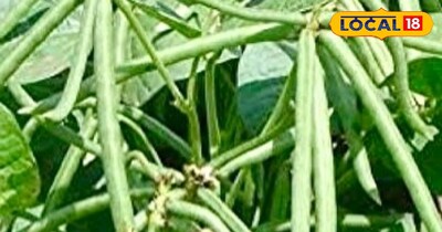 प्रतीकात्मक