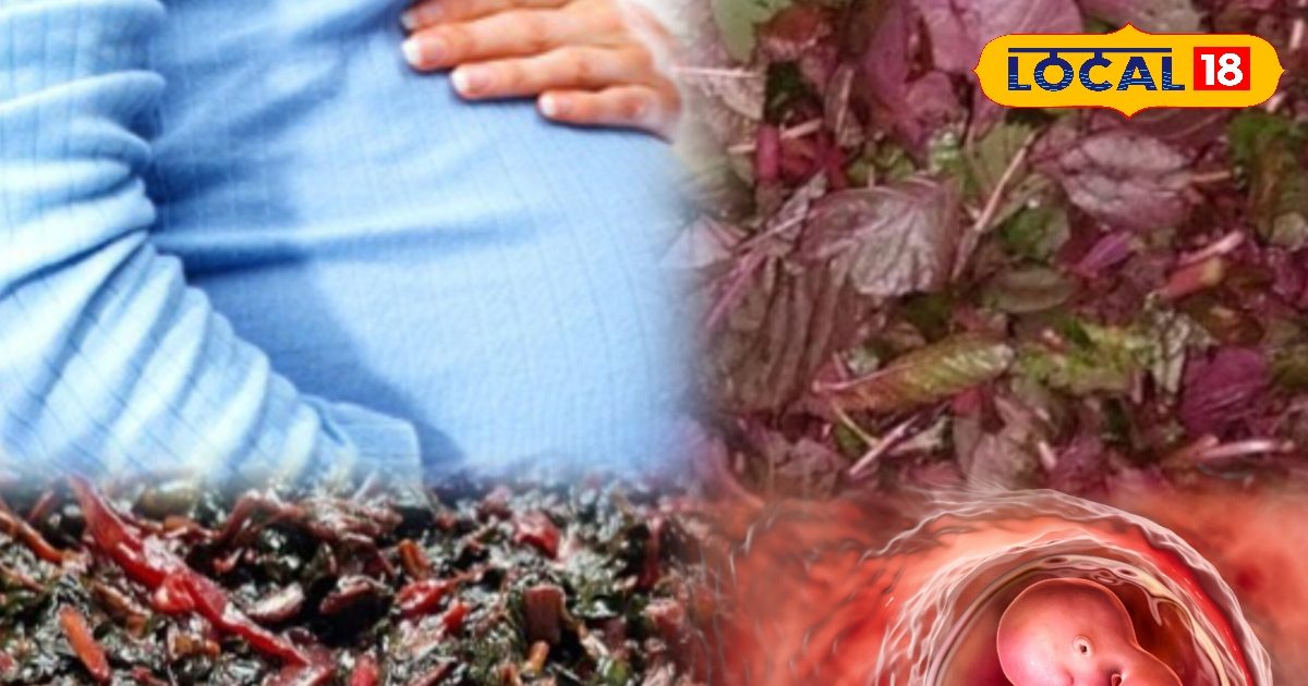 डॉक्टर भी माने इसके फायदे! प्रेग्नेंसी में लाल साग खाने से बच्चा बनेगा स्मार्ट