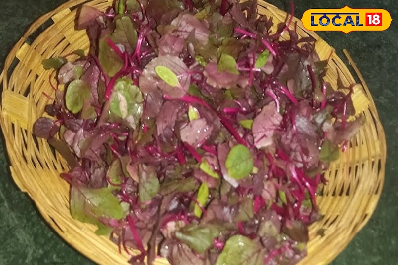 आयरन और विटामिन से भरपूर लाल साग—शिशु के ब्रेन के लिए बेस्ट...