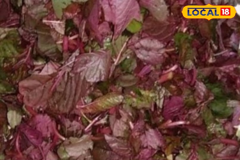 आयरन और विटामिन से भरपूर लाल साग—शिशु के ब्रेन के लिए बेस्ट...