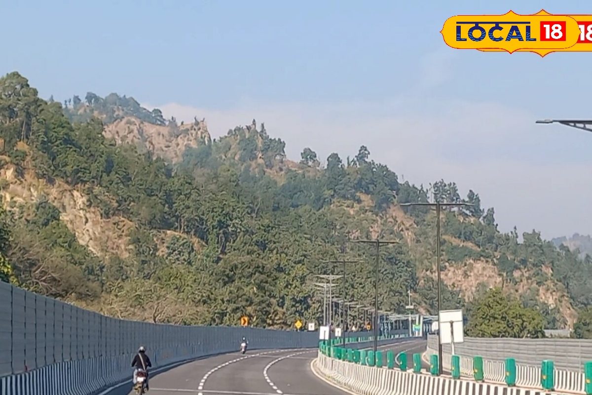 एशिया का सबसे बड़ा वाइल्डलाइफ कॉरिडोर और यूरोपीय तकनीक, दिल्ली-देहरादून एक्सप्रेसवे क्यों है इतना खास?