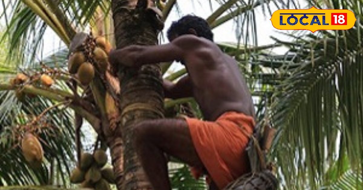 नारियल पानी पर भारी है 5 रुपए वाला यह फल, साल में मिलता है सिर्फ 4 महीने