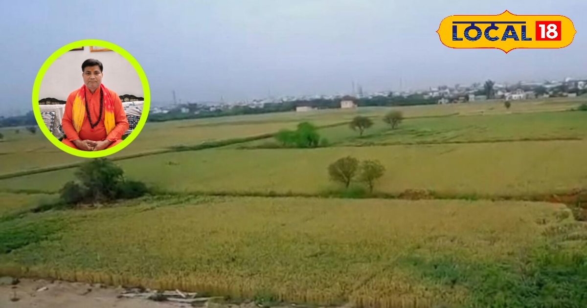 घर या प्लॉट खरीदते समय इन वास्तु टिप्स दोष की कर लें जांच, वरना होगा नुकसान