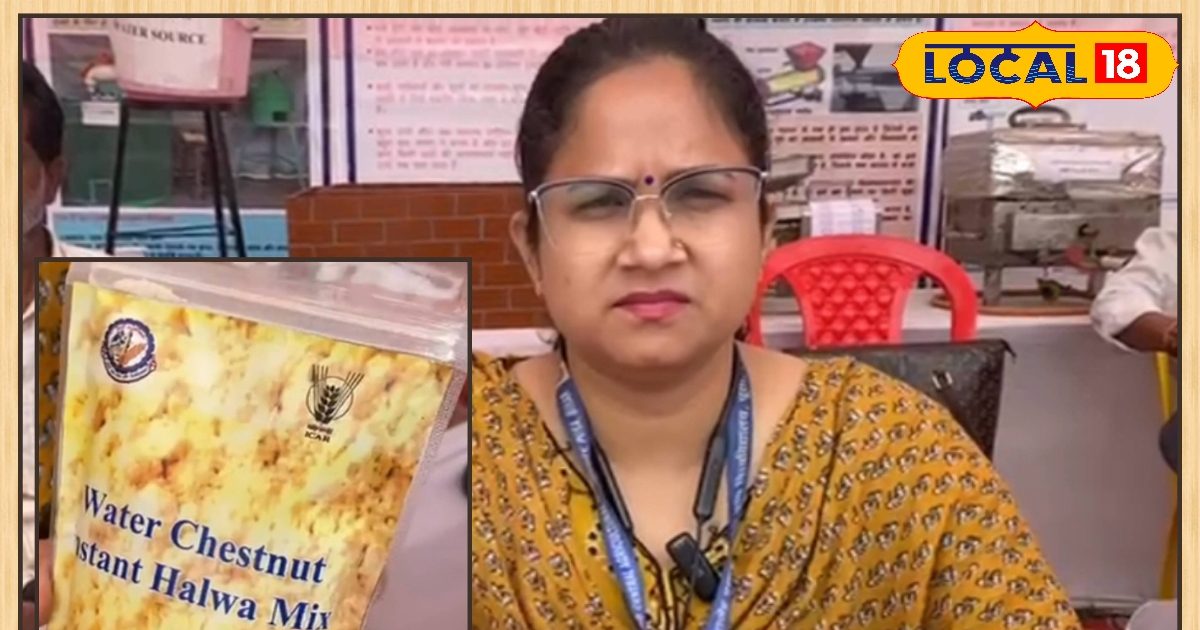 घर पर ऐसे बनाएं सिंघाड़े का पाउडर, सालभर उठाएं हलवा के स्वाद का लुत्फ