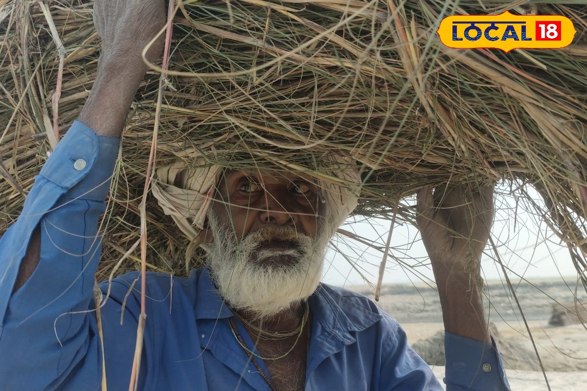 70 साल से ऊपर के बुजुर्गों को 5 लाख तक मुफ्त इलाज, जानिए कहां बनेगा आयुष्मान वय वंदना कार्ड