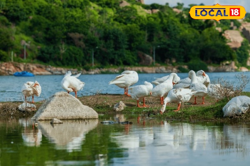 बर्ड्स आइलैंड इसे सीक्रेट लेक के नाम से भी जाना जाता है क्योंकि यह पहाड़ियों के बीच छिपा हुआ है। यहाँ का द्वीप विशेष रूप से पेलिकन और पेंटेड स्टॉर्क जैसे पक्षियों के लिए प्रजनन स्थल है। दुर्गम चेरुवू पर बने नए केबल-स्टेयड ब्रिज के कारण अब इस द्वीप का दृश्य रात में बेहद आधुनिक और अंतरराष्ट्रीय स्तर का लगता है।यहाँ द्वीप के आसपास कयाकिंग और बोटिंग की सुविधा उपलब्ध है जो प्रकृति प्रेमियों को शांति का अनुभव कराती है
