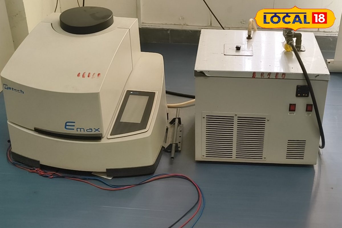 इस चक्की की पीसी हल्दी से ठीक होता है कैंसर और डायबिटीज, पटना में यहां है मौजूद