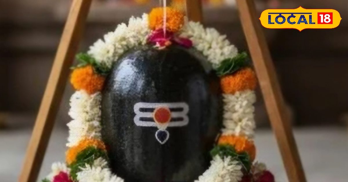 आपके घर में भी है शिवलिंग? वास्तु का ये नियम नहीं माना तो आफत आनी तय आपके घर में भी है शिवलिंग? वास्तु का ये नियम नहीं माना तो आफत आनी तय