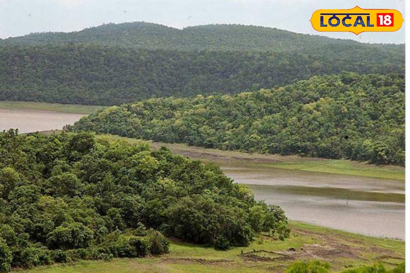 दशकों से हैदराबाद के लोग छुट्टियों के लिए भीड़भाड़ वाले रिसॉर्ट्स और मनोरंजन पार्कों तक ही सीमित रहे हैं। लेकिन अब शहर की हलचल से दूर एक नए प्राकृतिक ठिकाने की खोज हो रही है। हैदराबाद से महज 135 किलोमीटर दूर तेलंगाना-कर्नाटक सीमा पर स्थित गोट्टम गुट्टा एक उभरता हुआ पर्यटन स्थल है। इसकी बेमिसाल खूबसूरती के कारण ही इसे स्थानीय स्तर पर तेलंगाना का ऊटी कहा जाने लगा है। 