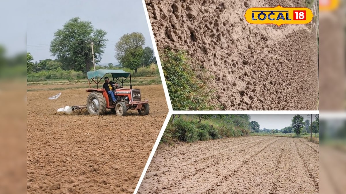 गर्मी में करें गहरी जुताई, खत्म होंगे कीट और अगली फसल देगी रिकॉर्ड उत्पादन! – News18 हिंदी