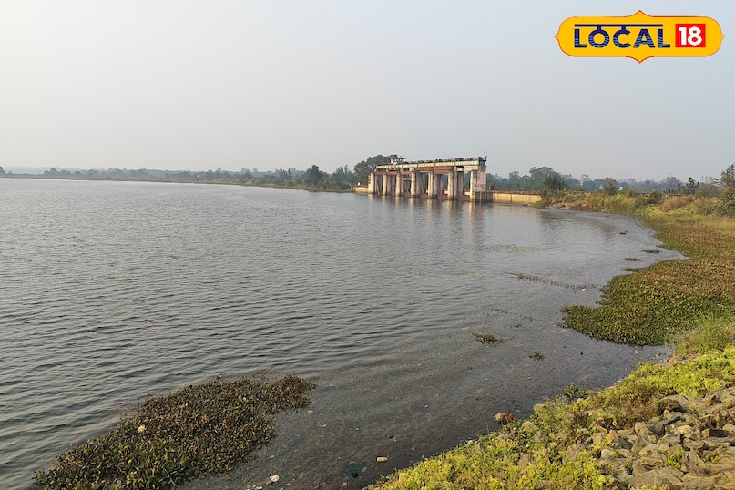 नो टिकट, फुल मस्ती! बोकारो के 5 देसी वाटर स्पॉट बने गर्मियों के फेवरेट वाटर पार्क