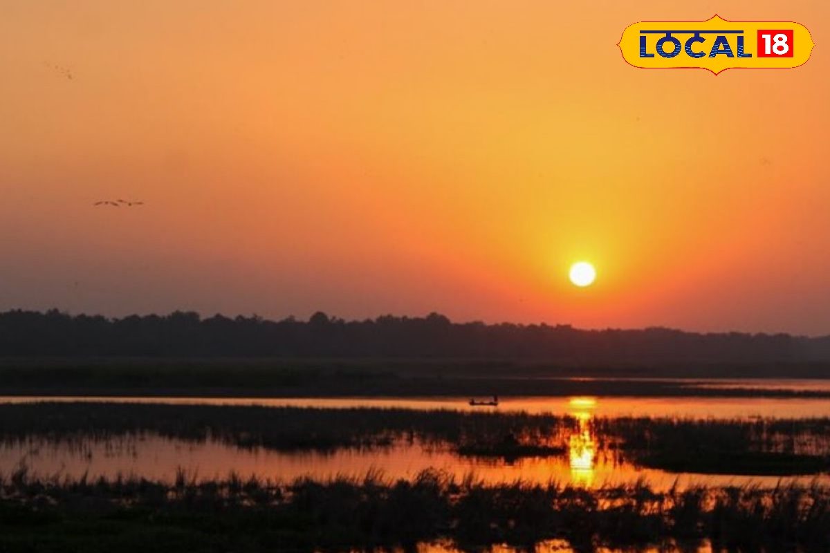 पीलीभीत टाइगर रिजर्व का शारदा सागर, चूका बीच है जन्नत, बिना टिकट दिखेगा सबसे शानदार नजारा, सफारी के लिए बेस्ट