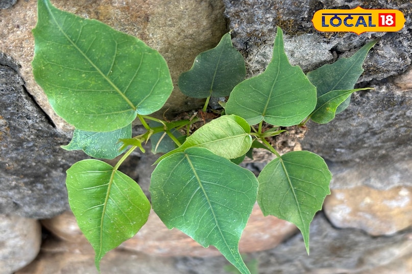 Religious and spiritual significance 