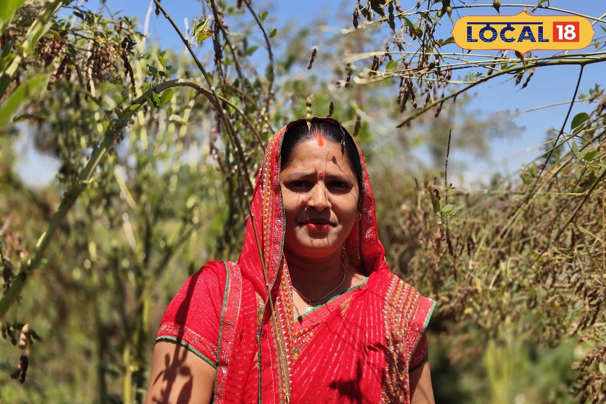 पारंपरिक खेती छोड़ शुरू की अरहर की खेती, आज कमा रही हैं लाखों.. जानिए क्या है इनकी टेक्निक