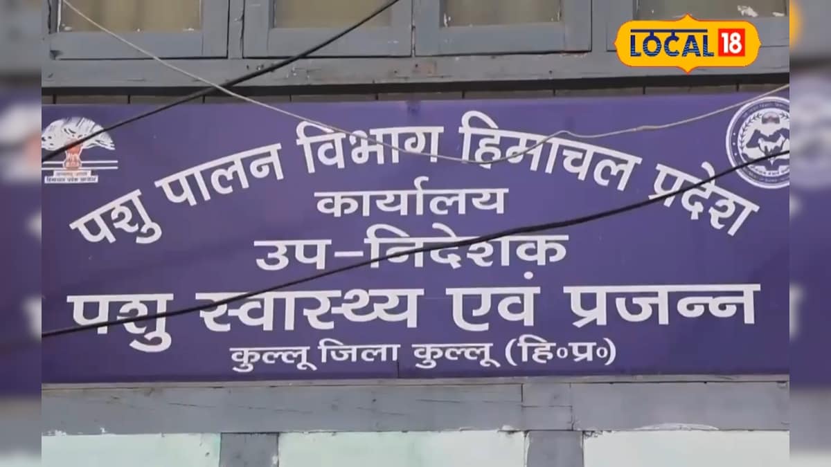 कुल्लू में पशु मित्र भर्ती के लिए 16 से 24 अप्रैल तक चलेगा फिजिकल टेस्ट, यहां जानिए पूरा शेड्यूल और नियम