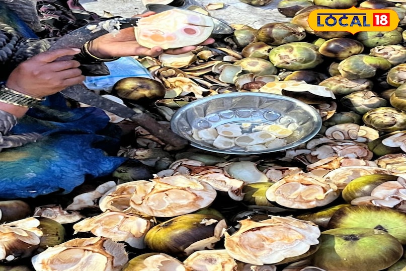 इस साल बढ़ती मांग और परिवहन खर्च के कारण कीमतों में वृद्धि देखी गई है। वर्तमान में हैदराबाद के पॉश इलाकों जैसे जुबली हिल्स और बंजारा हिल्स में एक दर्जन आइस एप्पल की कीमत 150 से 250 रुपये तक पहुँच गई है। वहीं नामपल्ली और चारमीनार जैसे इलाकों में यह थोड़ा किफायती मिल जाता है। महंगाई के बावजूद सेहत के प्रति जागरूक लोग इसे कोल्ड ड्रिंक्स से बेहतर मान रहे हैं। 