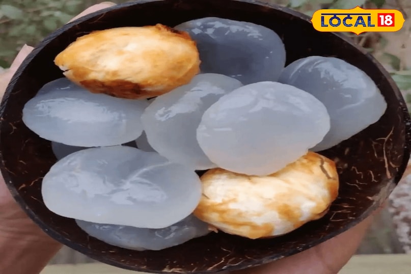 ताती मुंजालु तेलंगाना की संस्कृति में ताड़ के फल का विशेष स्थान है। इसे स्थानीय भाषा में ताती मुंजालु और हिंदी के कुछ क्षेत्रों मे ताड़गोला कहा जाता है। पारभासी, नरम और जेली जैसा यह फल असल में ताड़ के पेड़ का कच्चा बीज है। इसकी तासीर बेहद ठंडी होती है जो इसे गर्मियों का सबसे बेहतरीन सुपरफूड बनाती है। हैदराबाद की विरासत में इस फल का जुड़ाव दशकों पुराना है।