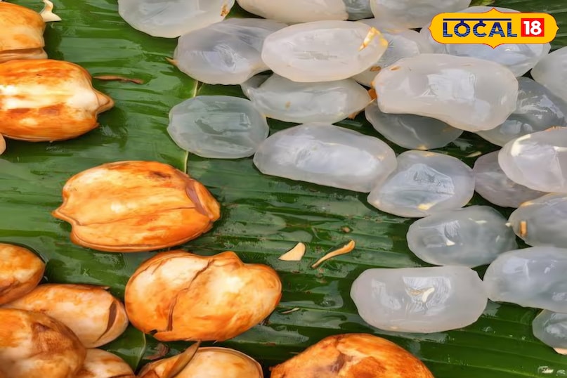 अप्रैल और मई के महीने में हैदराबाद का पारा जब 40 डिग्री सेल्सियस को पार करने लगता है तो शहर की सड़कें आग उगलने लगती हैं। कंक्रीट के इस जंगल में लू के थपेड़ों से बचने के लिए लोग अक्सर ठंडे पेय पदार्थों की तलाश करते हैं। ऐसे में शहर के कोनों-कोनों पर बिकने वाला आइस एप्पल यानी ताती मुंजालु हैदराबाद के निवासियों के लिए किसी वरदान से कम साबित नहीं हो रहा है। यह फल न केवल प्यास बुझाता है बल्कि गर्मी से लड़ने की प्राकृतिक शक्ति भी देता है।