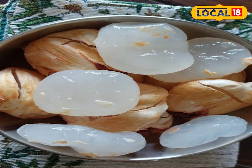 आइस एप्पल का बढ़ता चलन यह दर्शाता है कि आधुनिकता के दौर में भी लोग अपनी जड़ों और प्राकृतिक खान-पान की ओर लौट रहे हैं। जहाँ कार्बोनेटेड ड्रिंक्स शरीर को नुकसान पहुँचाते हैं वहीं यह फल बिना किसी मिलावट के शुद्ध ठंडक प्रदान करता है। हैदराबाद की इस तपती धूप में ताती मुंजालु का एक टुकड़ा न केवल राहत देता है