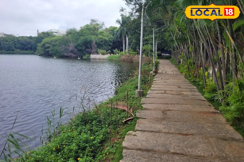 लोटस पॉन्ड, बंजारा हिल्स बंजारा हिल्स जैसे महंगे इलाके के बीचों-बीच स्थित यह तालाब कुदरत का एक छोटा सा टुकड़ा है। यहाँ खिले हुए कमल के फूल और चारों तरफ की हरियाली आपको भूलने पर मजबूर कर देगी कि आप एक महानगर में हैं। यहाँ टहलने के लिए कोई टिकट नहीं लगता।