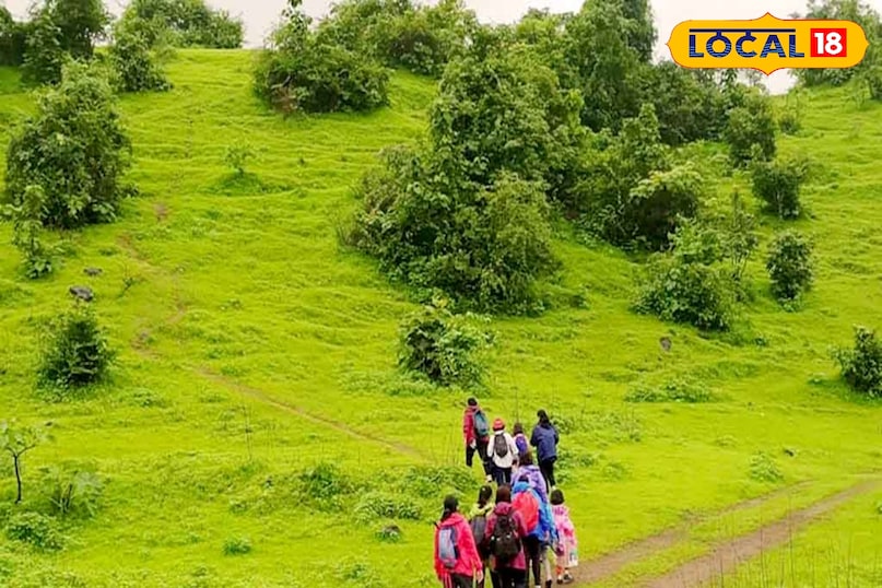 अनंतगिरी हिल्स विकाराबाद स्थित अनंतगिरी हिल्स का मुख्य मंदिर क्षेत्र तो प्रसिद्ध है ही, लेकिन यहाँ के खुले जंगलों के रास्ते और ट्रेकिंग ट्रेल्स पूरी तरह मुफ्त हैं। मानसून की पहली फुहार के बाद यहाँ की धुंध और हरियाली किसी हिल स्टेशन से कम नहीं लगती है आपको बस व्यू पॉइंट का कुछ पैसा देना होता है 